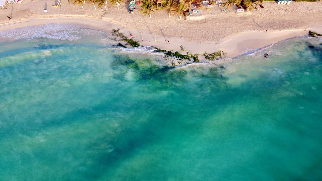 Playa del Carmen: Our Expert Visitor's Guide image