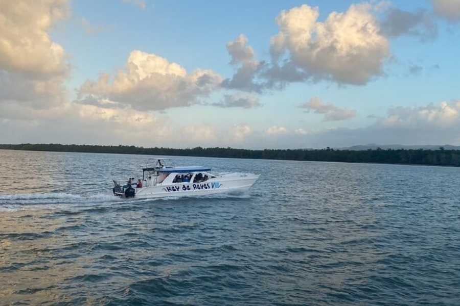 A boat cruising across a tranquil waterway with a beautiful sky in the background.