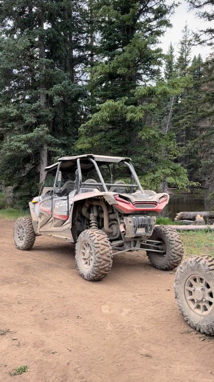 Silverton 4 Hour Polaris RZR Rental Tour Image 6