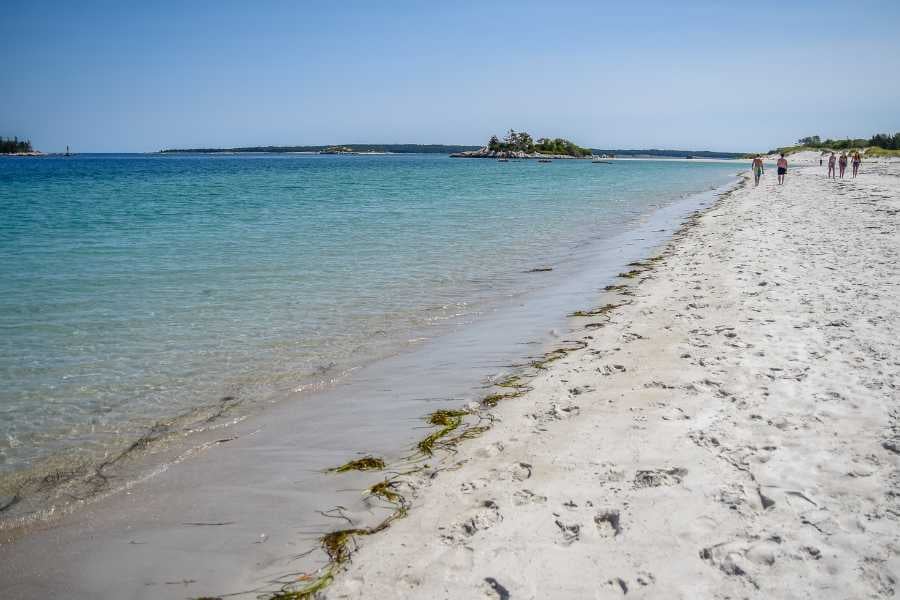 A beautiful view of the beach