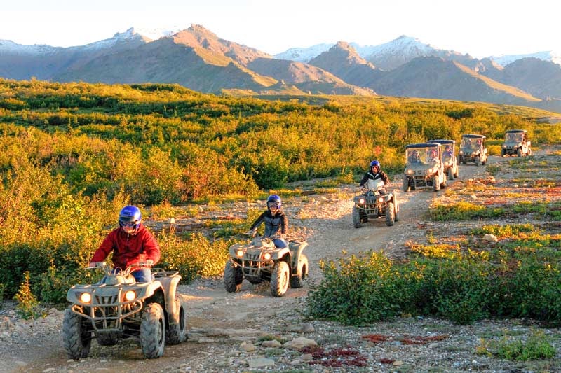 Denali Park Excursion Guide