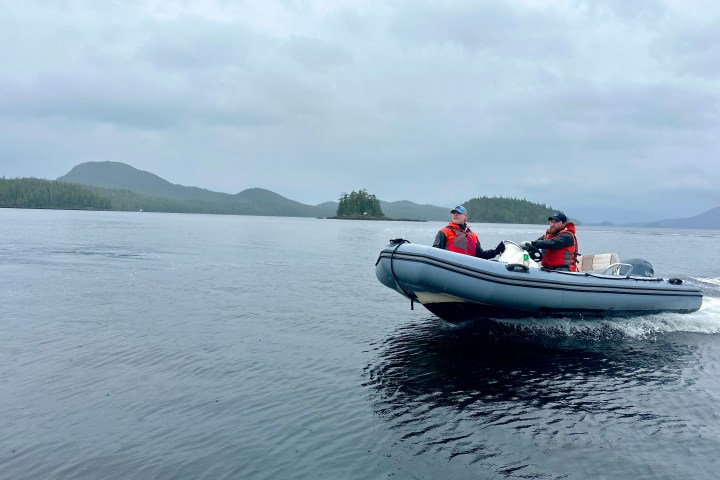 Marine Fast Boat Adventure Tour Image 2