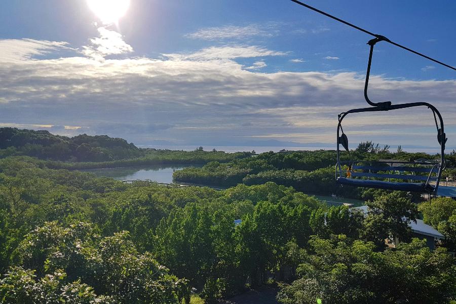 Our Favorite Things to Do & See in Mahogany Bay