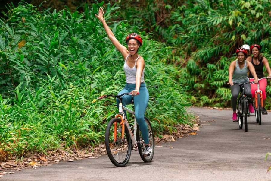 A group of excited cyclists rides through a tropical forest, with one woman raising her hand in joy.