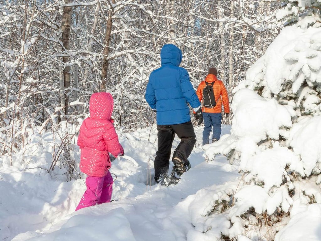 Snowshoe In Glacier National Park image