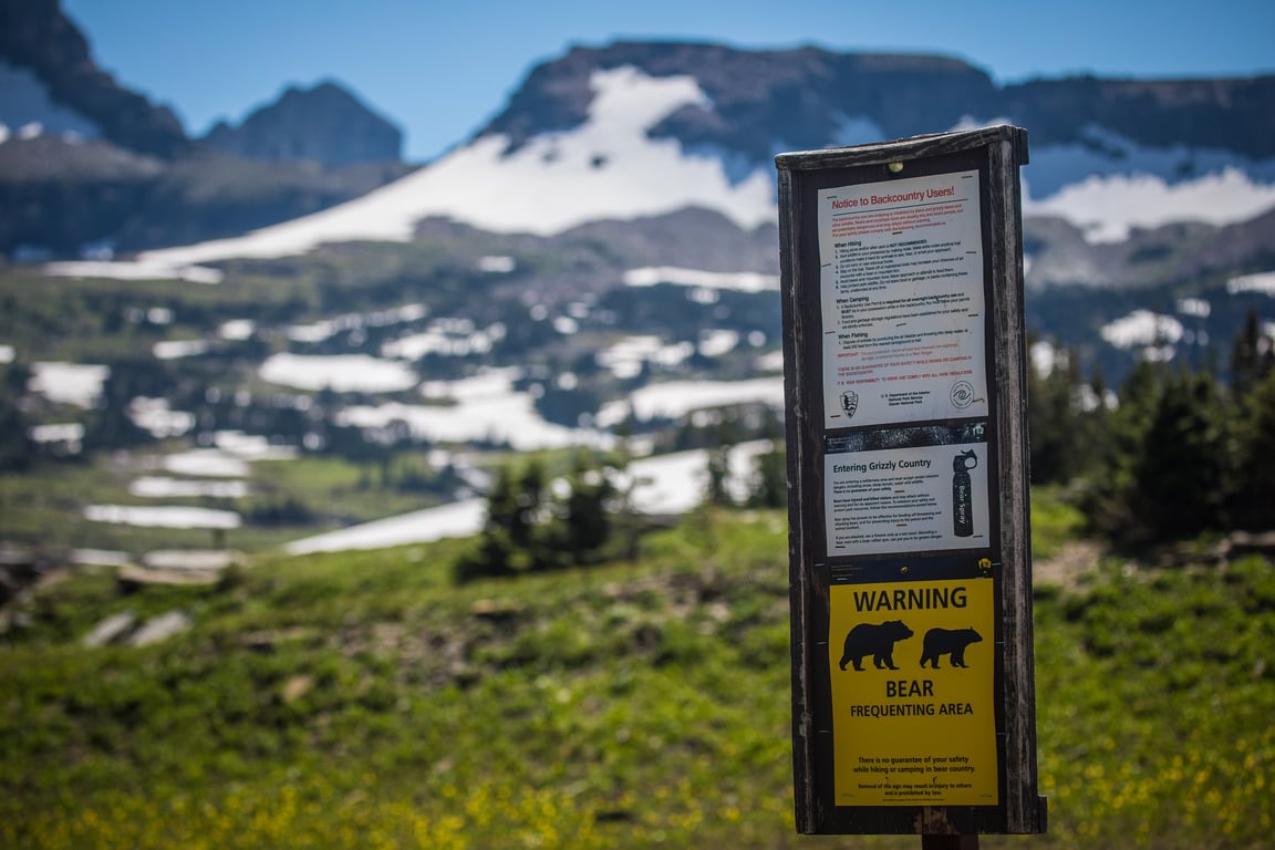 Best Hikes in Glacier National Park