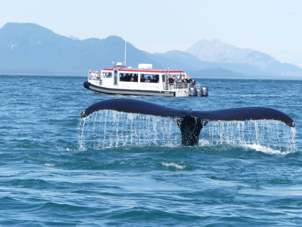 Boat in Icy Strait image