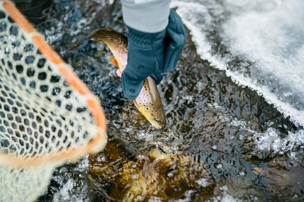 Half Day Yellowstone River Fly Fishing Trip Tour Image 6