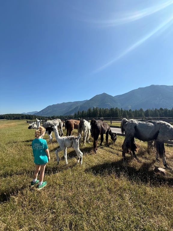 Llama Tour review image 1