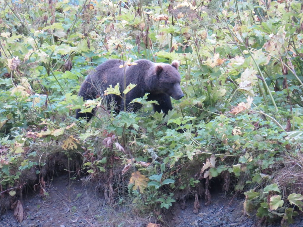Guided Passenger Van Wildlife & Scenery Tour Tour Image 8