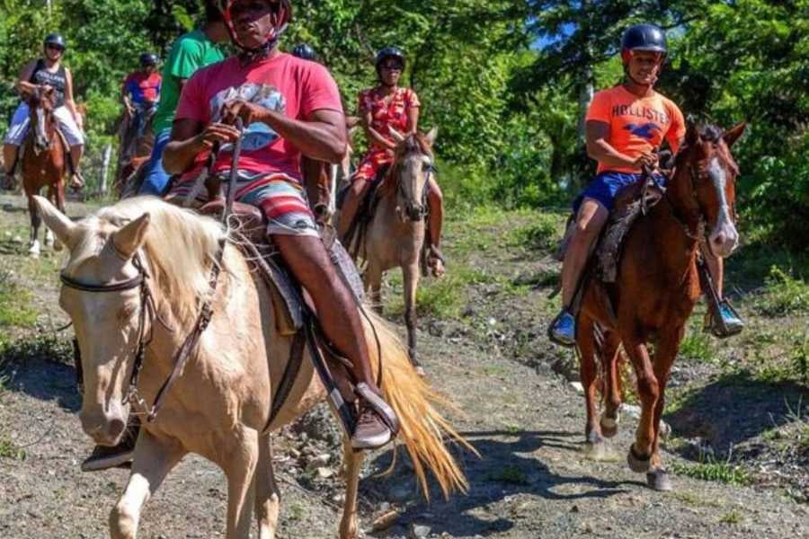 A group of horseback riders explores the lush landscape, surrounded by trees and nature.