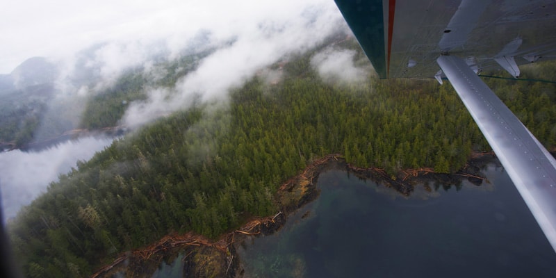 Be an Alaska photography pro no matter what the skies decide to throw at you, even Ketchikan’s famously rainy skies!