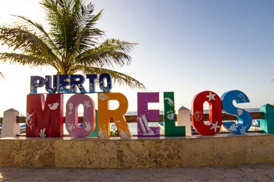  Vibrant "Puerto Morelos" sign under a sunny palm tree, welcoming visitors to this picturesque beach destination.