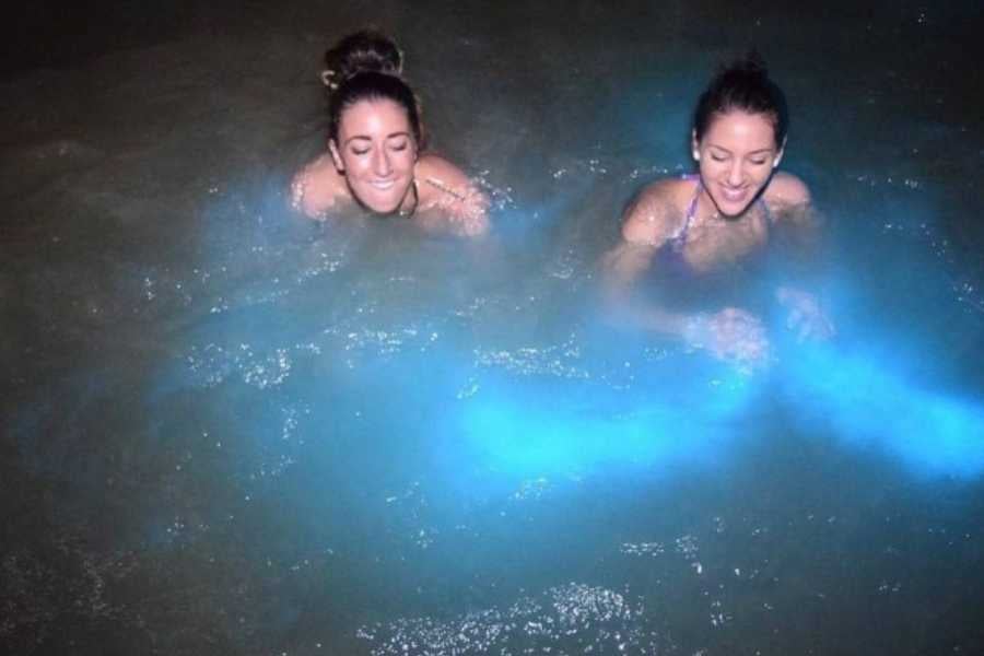 Two friends swim, leaving a glowing blue trail in the water.