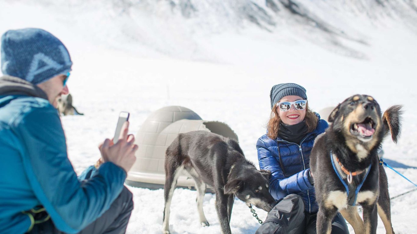Anchorage Helicopter and Glacier Dogsled Tour Tour Image 7