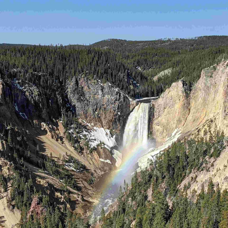 All-Day Yellowstone Safari From West Yellowstone Tour Image 7