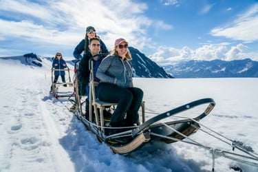 Seward Helicopter Dogsled & Bear Glacier Tour Tour Image 11