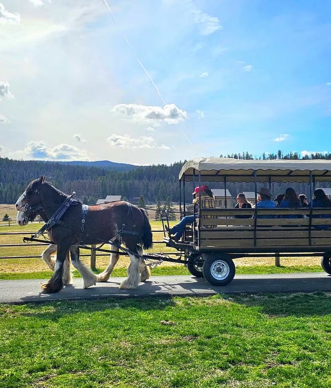 Clydesdale Wagon Wander Ride image