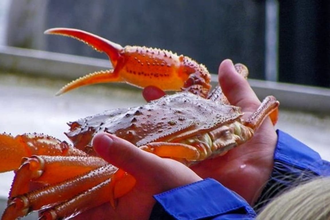 Bering Sea Crab Fishermen's Tour Tour Image 3