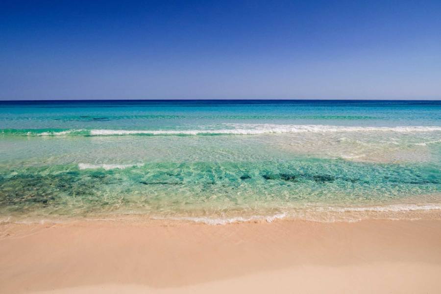 When to Visit Cozumel