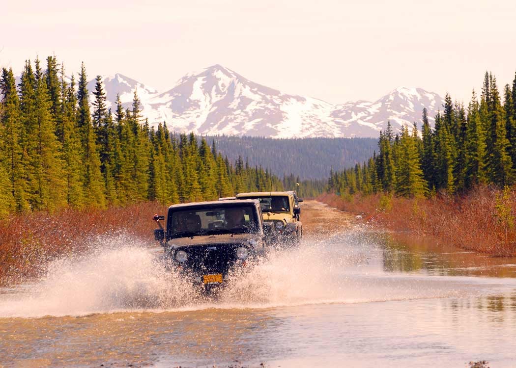 Denali: Our Local Expert’s Guide to the Area