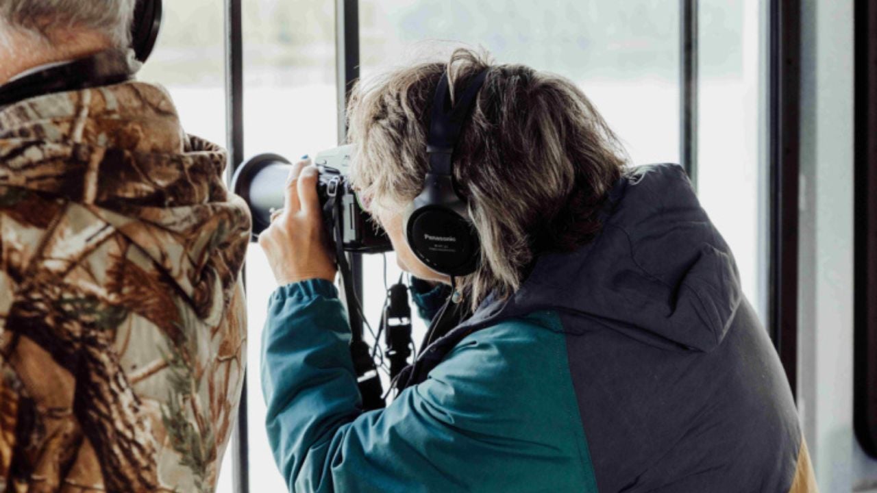 Our Top 9 Favorite Alaska Excursions