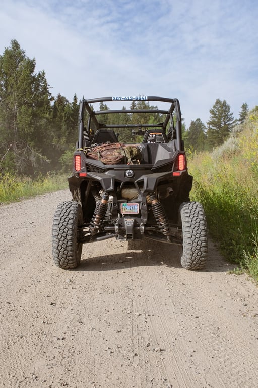 Full Day Side By Side Rental image
