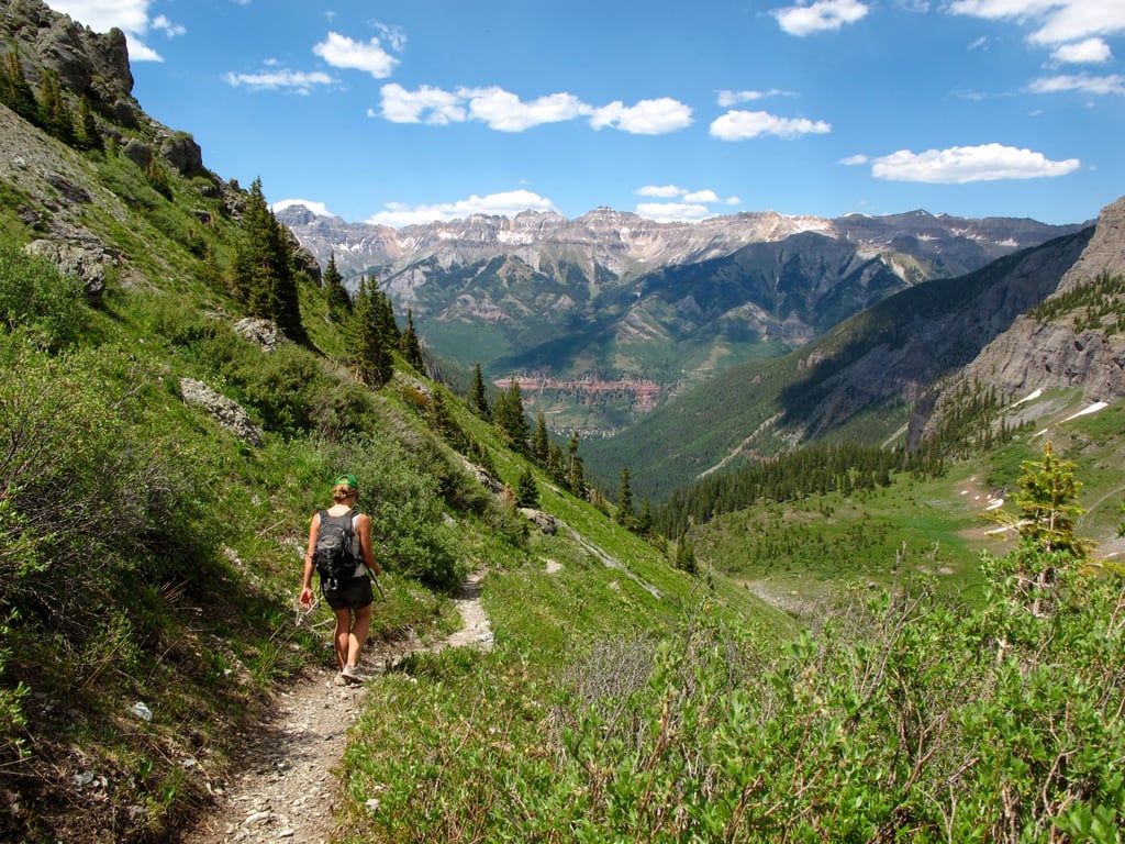 Telluride Hiking Tour - Half Day Tour Image 4