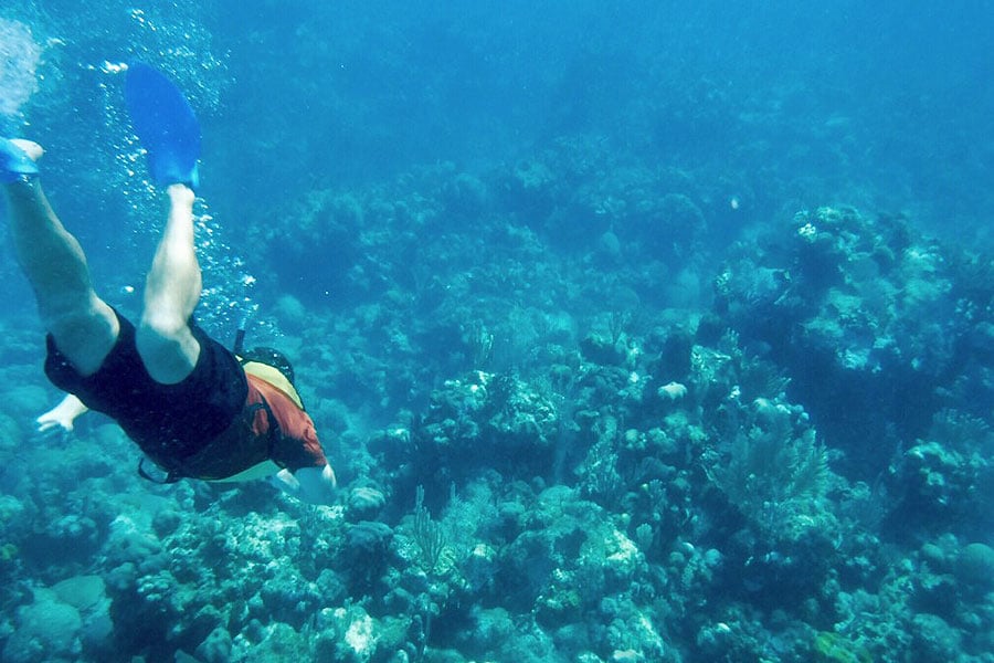 Roatan Cruise Excursions