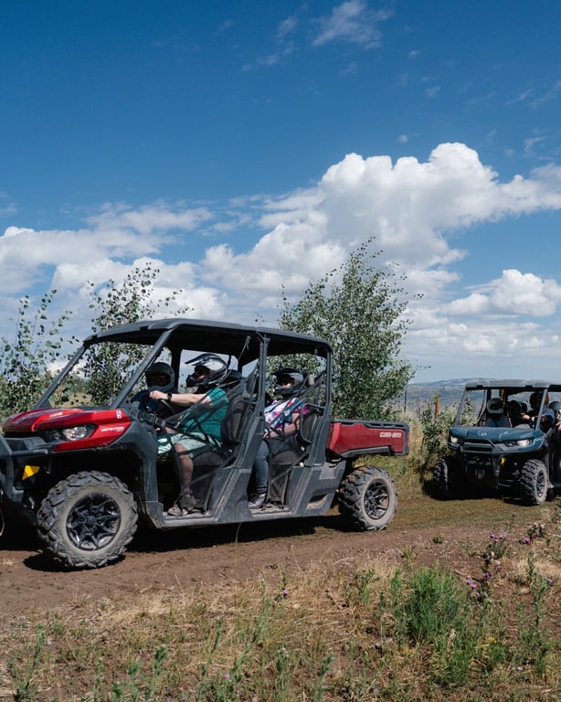 UTV Off Road Adventure and Dinner Tour at Bair Ranch: 3-Seater image
