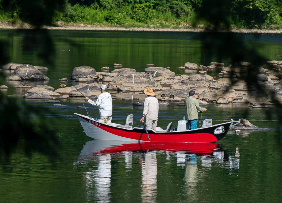 Flathead River Fly Fishing Trip - Half-Day Tour Image 6