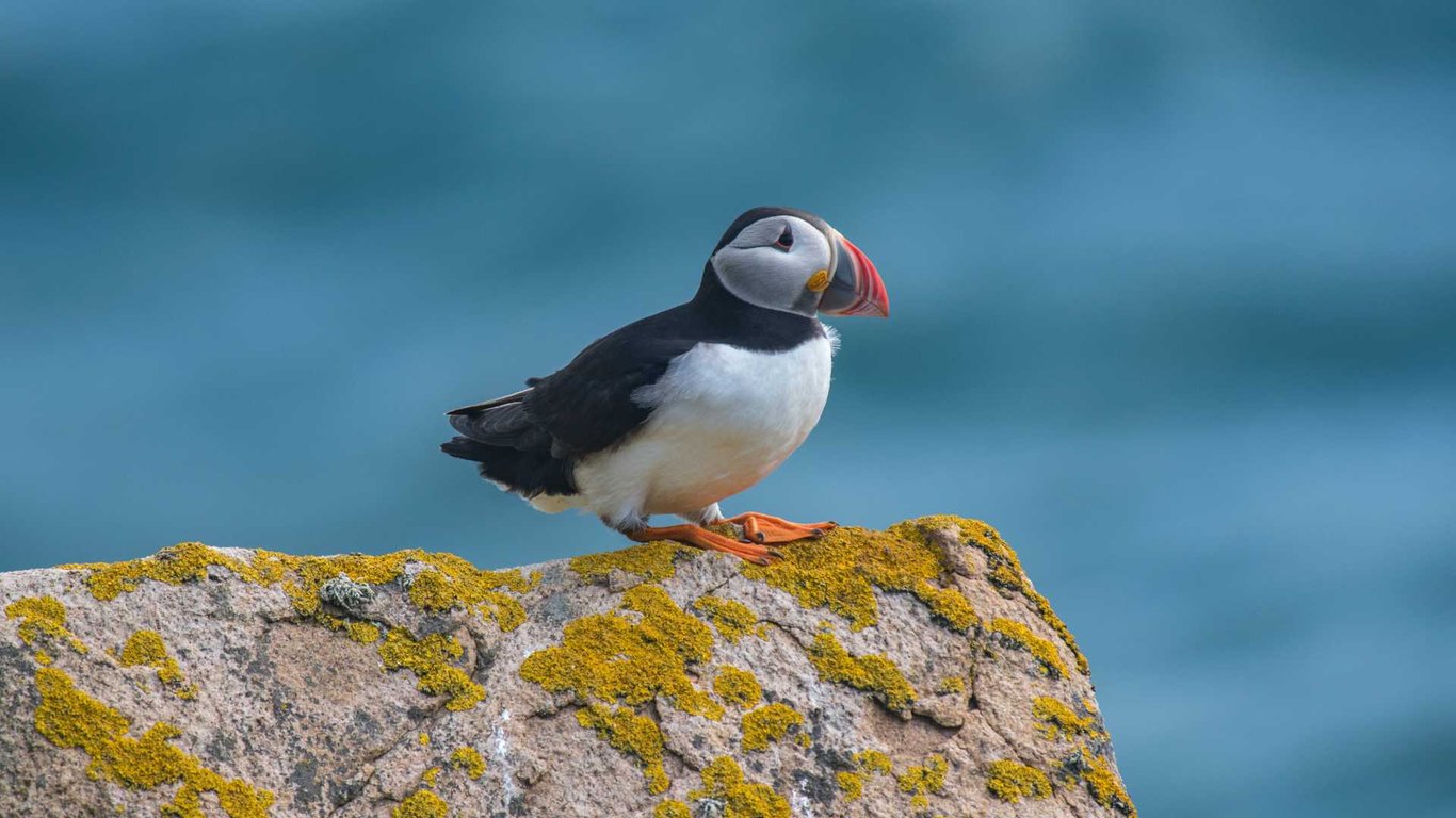 Private Photo Safari, Beachcombing, & More Tour Image 2
