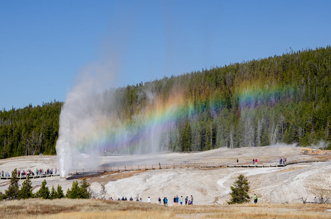 Private Old Faithful & Lower Loop From West Yellowstone Tour Image 12