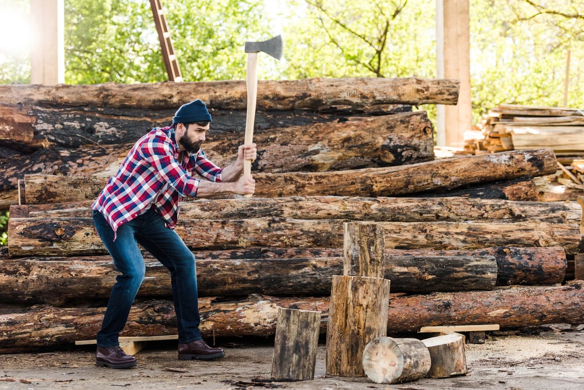 Our Local Expert's Guide to the Great Alaskan Lumberjack Show image