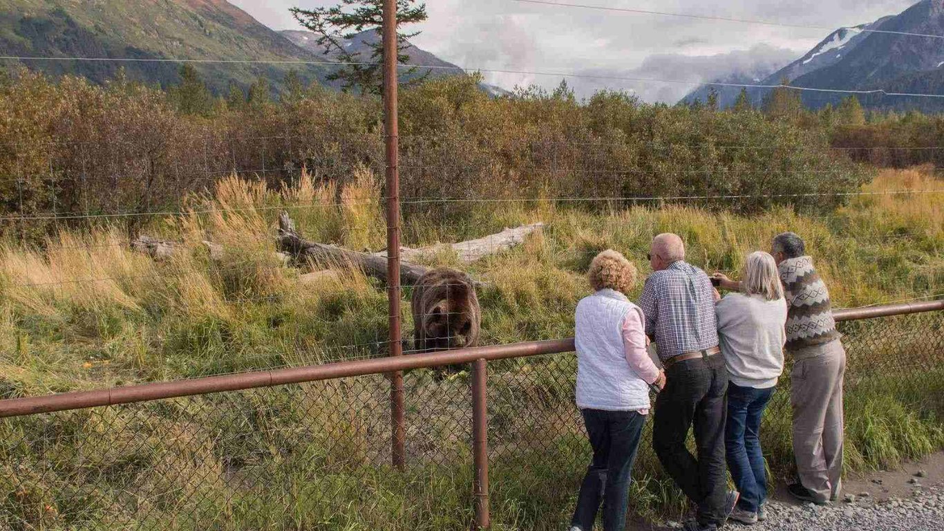 Glacier and Wildlife Day Tour Tour Image 8