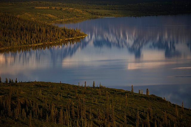 Wonder Lake: A Local Expert's Guide to Denali's Hidden Gem