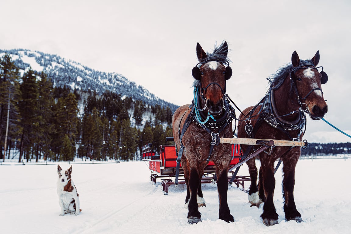 Snake River Ranch Sleigh Ride image