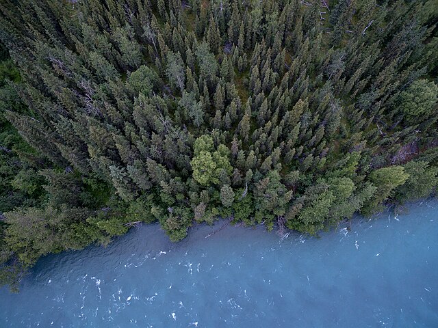 Two Lakes Park Park in Seward, Alaska: What Makes It So Special image