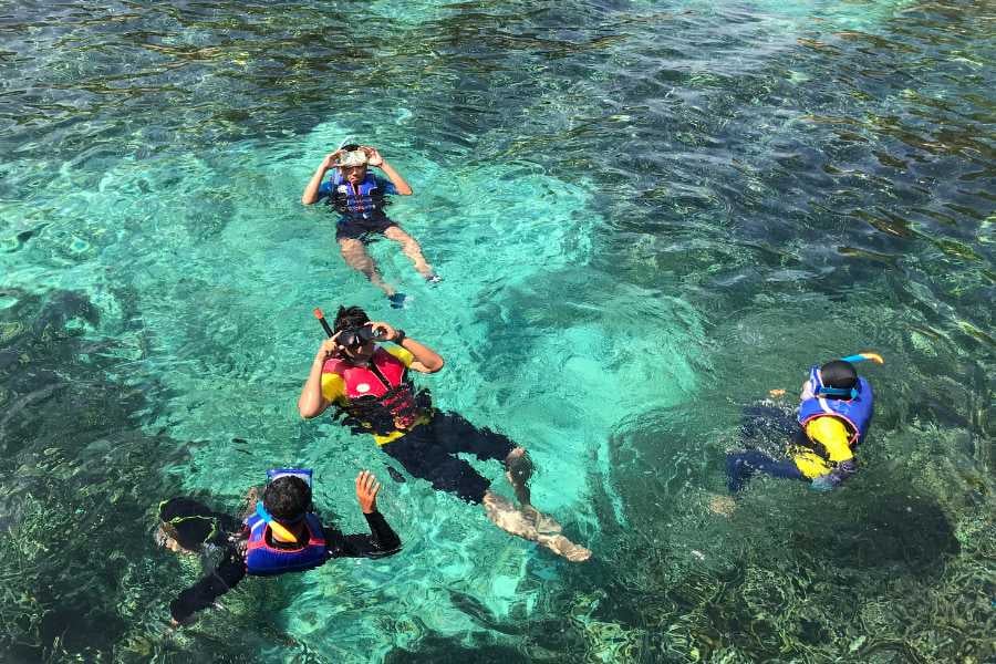 A group snorkeling in clear, turquoise water, having fun.