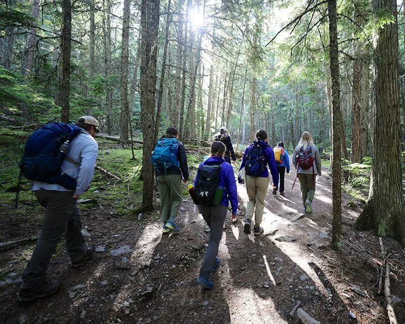 Avalanche Lake Guided Day Hike In Glacier National Park image