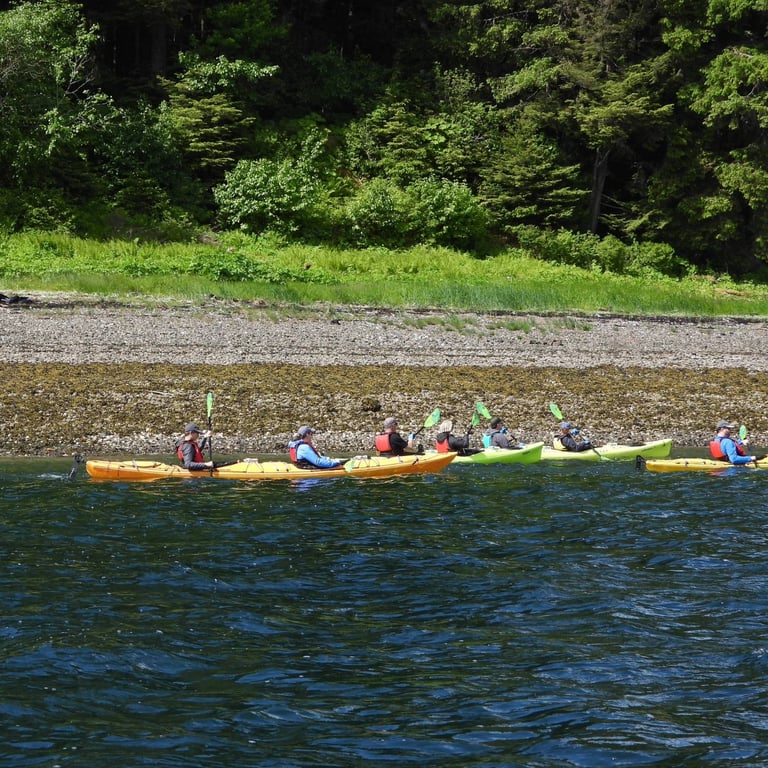 Guided Kayak Tour image