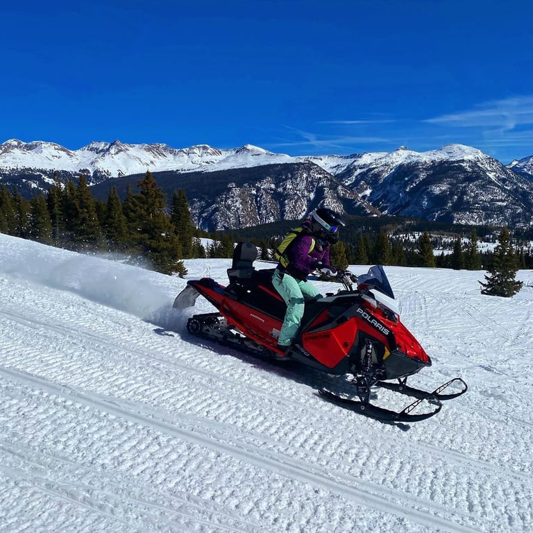3-Hour Guided Snowmobile Near Silverton Tour Image 3