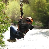 Don’t miss this! review image 1