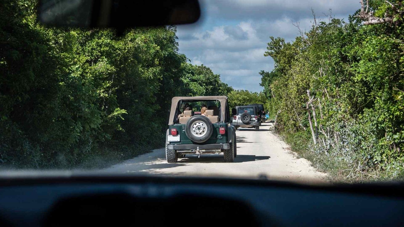 Private Cozumel Caves & Mayan Ruins Exploration Tour Image 4