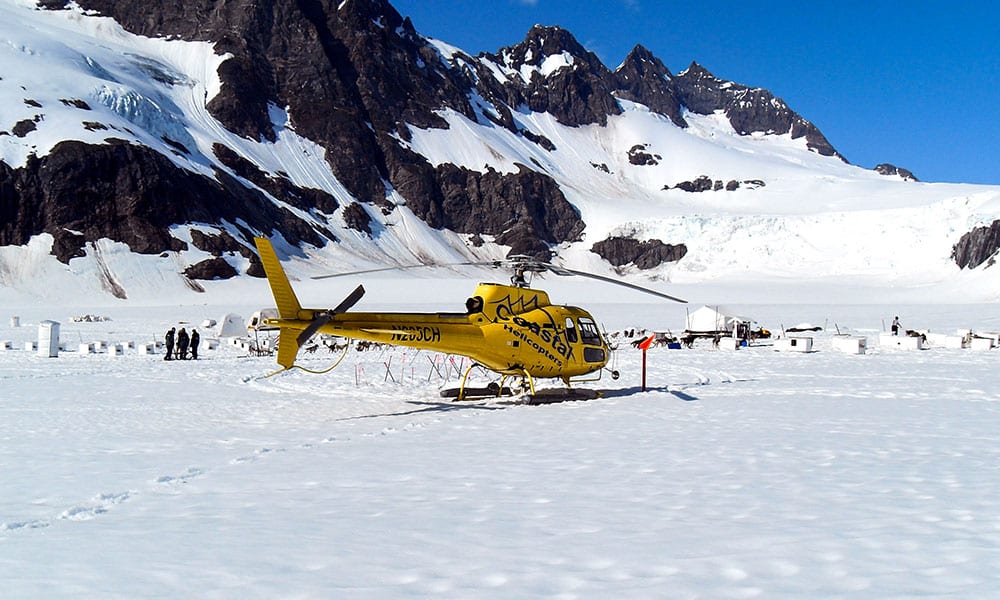 Helicopter & Dogsled Glacier Excursion Tour Image 2