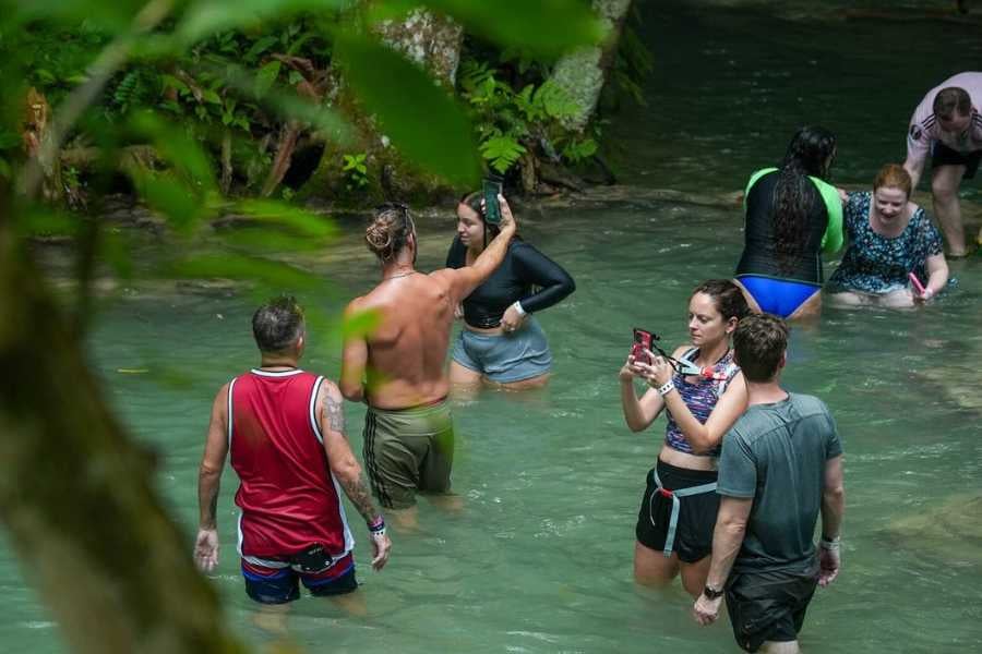 People wading through a gentle stream beneath leafy trees, capturing memories in a natural wonderland.