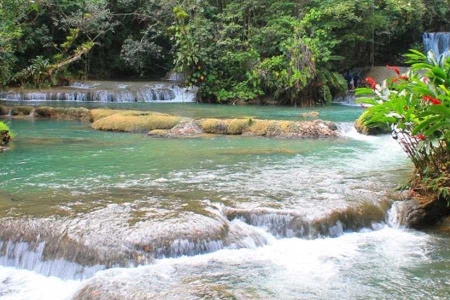 Serene turquoise waters cascade over natural limestone steps, creating a lush, tranquil escape in the heart of nature.