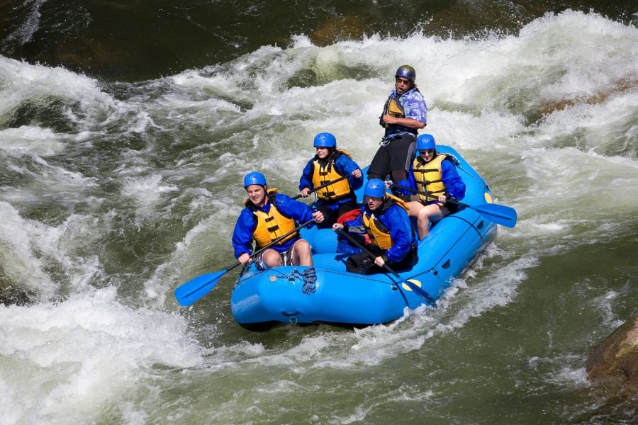 Rafters ride a rough section of the river with steady paddles and focus.