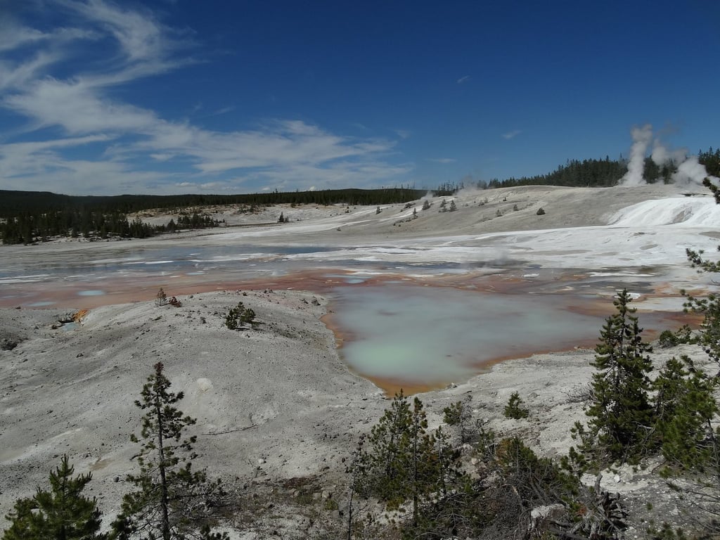 Incredible Yellowstone Tour review image 1