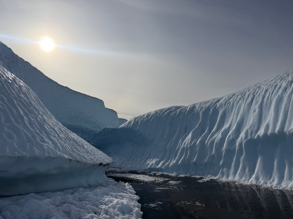The best experience in Alaska review image 0